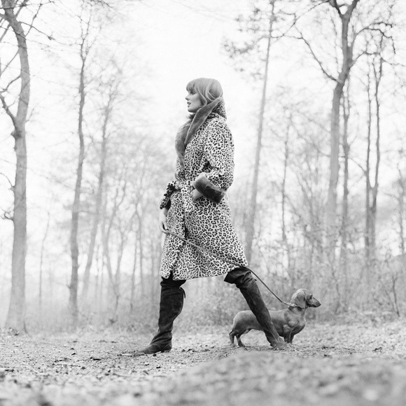 🌟Dachshund Pals Wall Art - Picture 8 of 16